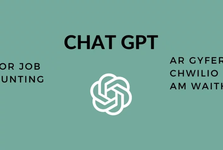 Harnessing the Power of Chat GPT for Job Applications
