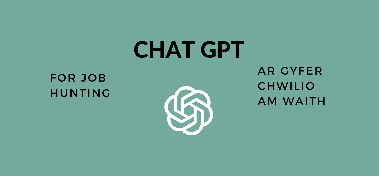 Chat GPT For Job Hunting